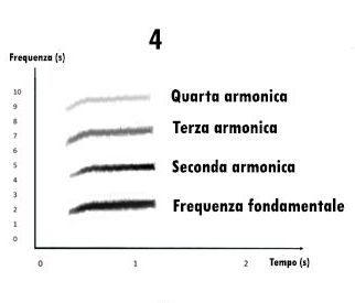 sonogramma, leggere un sonogramma, studiare i suoni, studiare i canti degli uccelli, sonogram reading, spectrogram reading, leggere uno spettrogramma, sonogramma, leggere un sonogramma, studiare i suoni, studiare i canti degli uccelli, sonogram reading, spectrogram reading, leggere uno spettrogramma, 