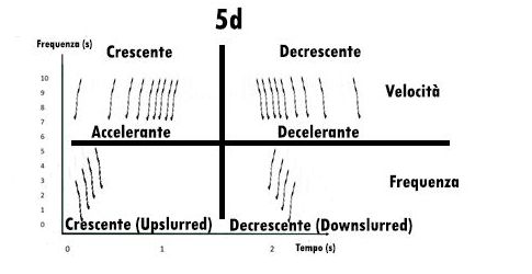 sonogramma, leggere un sonogramma, studiare i suoni, studiare i canti degli uccelli, sonogram reading, spectrogram reading, leggere uno spettrogramma, 