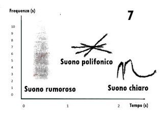 sonogramma, leggere un sonogramma, studiare i suoni, studiare i canti degli uccelli, sonogram reading, spectrogram reading, leggere uno spettrogramma, 