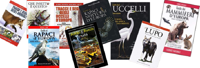 libri riconoscere uccelli, birdwatching, libri animali, 