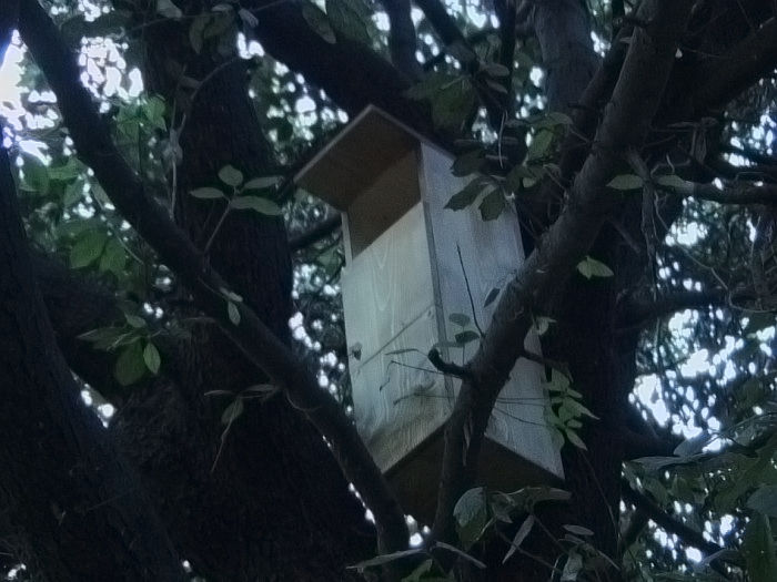 bird garden, birdgardening, nidi artificiali, nest boxes, nidi per uccelli, allocco, strix aluco, tawny owl, 