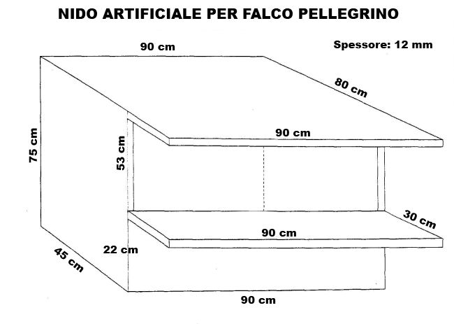 bird garden, birdgardening, nidi artificiali, nest boxes, nidi per uccelli, falco pellegrino, falco peregrinus,  brookei , peregrine falcon, Wanderfalke, halcn peregrino, Faucon plerin,