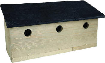 bird garden, birdgardening, nidi artificiali, nest boxes, nidi per uccelli, passeri, passer, sparrows, 