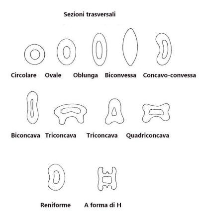 analisi microscopica peli, sezione trasversale, 